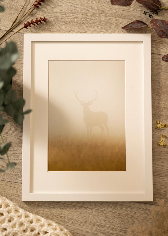 Rėmas Deco Akrilo stiklas Baltas 70x100 cm