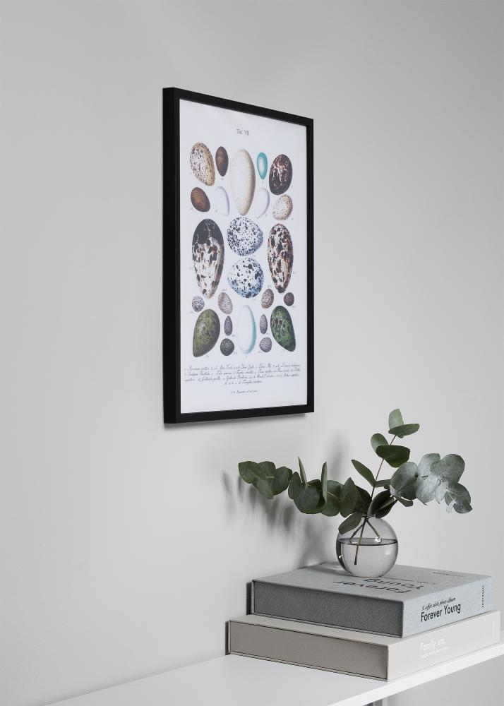 Rėmas Oslo Juodas 30x40 cm - Paspartu Juodas 21x29,7 cm (A4)