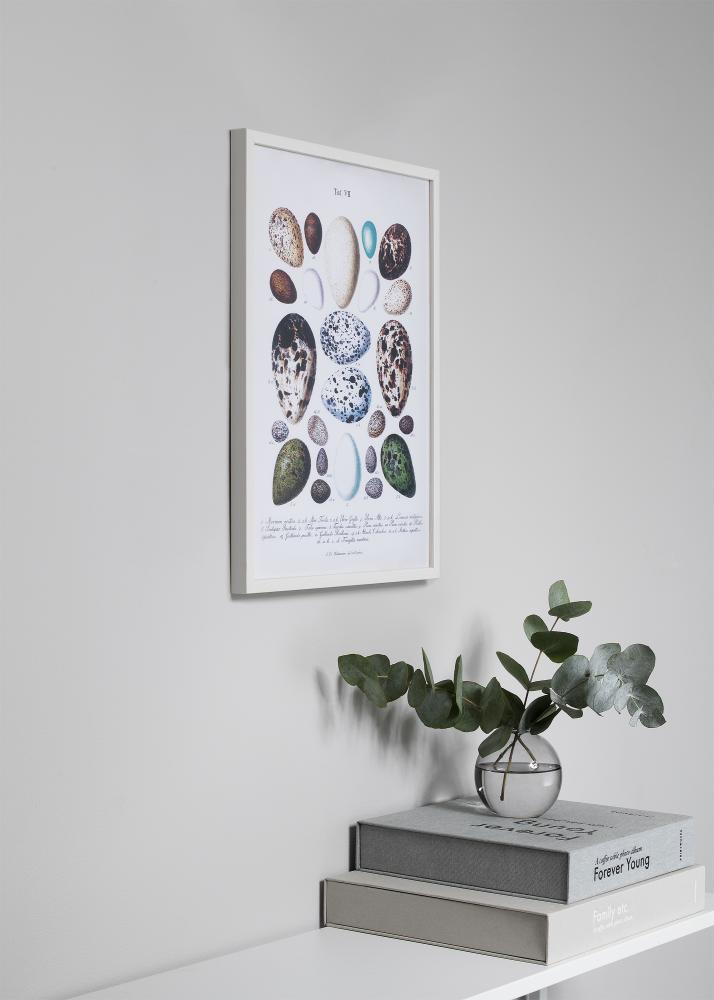 Rėmas Oslo Baltas 60x60 cm - Paspartu Juodas 50x50 cm