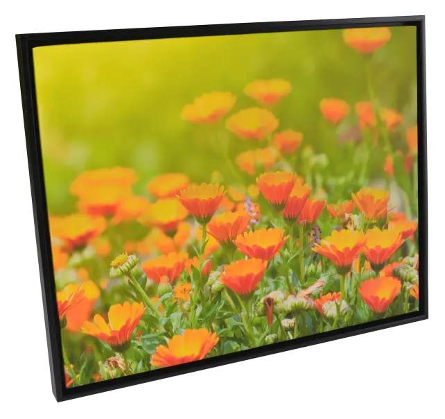 Rėmas Åsen Drobės rėmelis Juodas - Bet kokio Dydžio