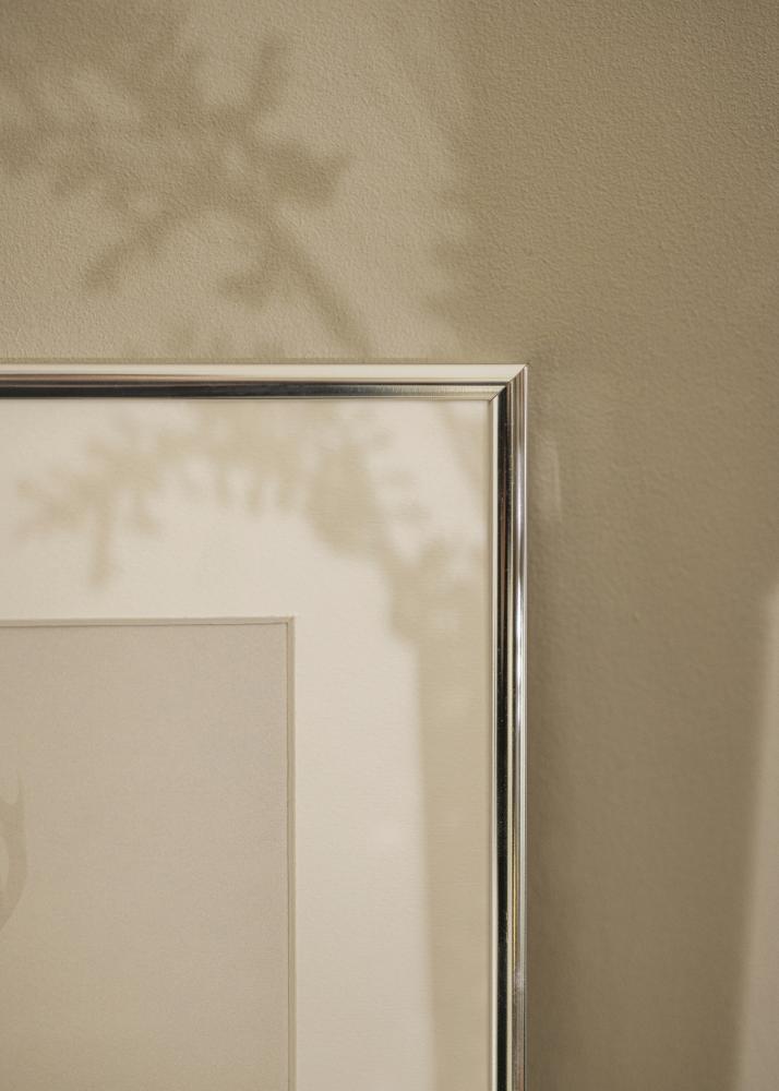 Rėmas Akiuminis Blizgus sidabrinis 40x50 cm - Paspartu Baltas 29,7x42 cm (A3)