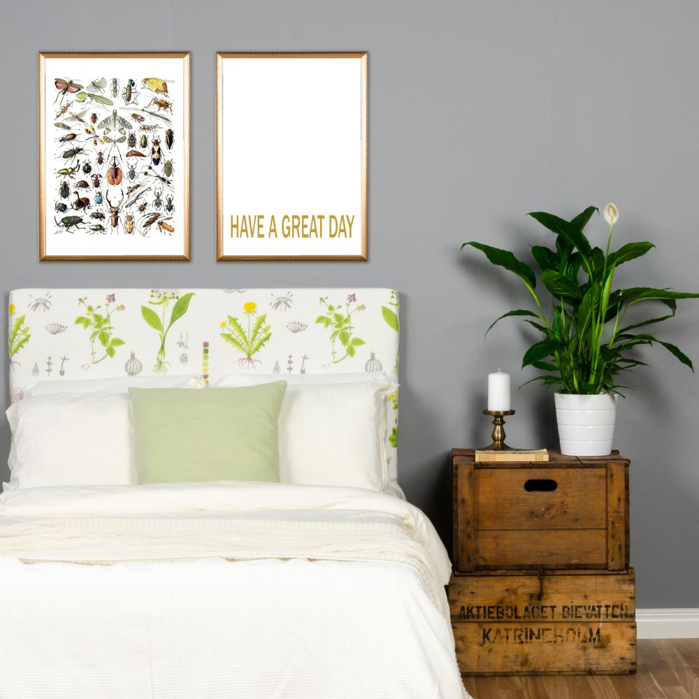 Vabzdžių pavyzdžiai II Įrašai