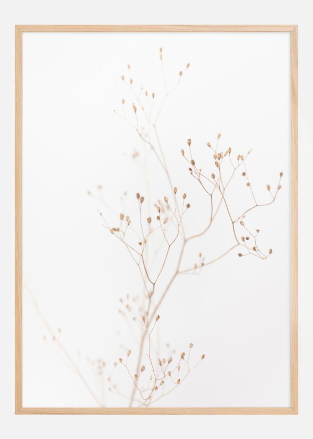 Beige straws Įrašai