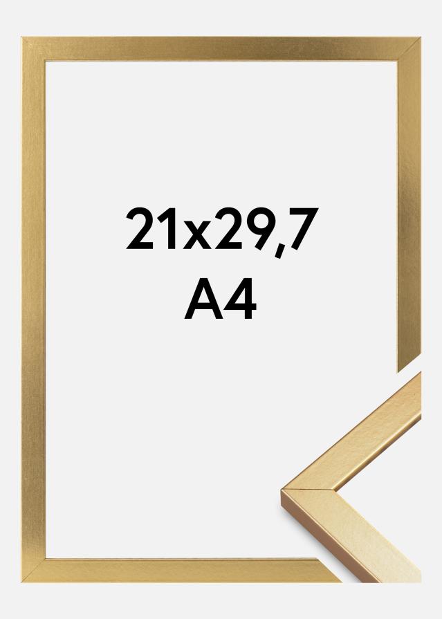 Rėmas Minerva Akrilo stiklas Auksas 21x29,7 cm (A4)