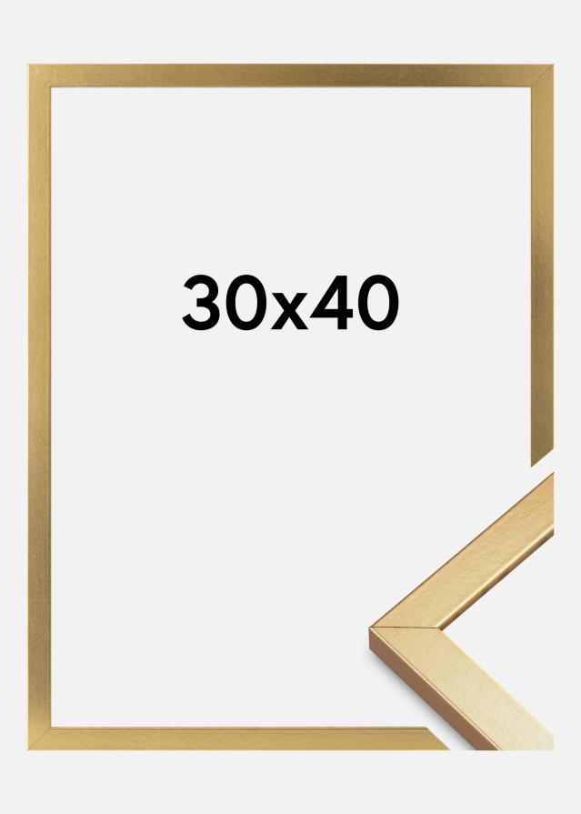 Rėmas Minerva Akrilo stiklas Auksas 30x40 cm
