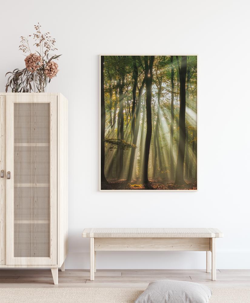 Sunny Start To The Day Įrašai