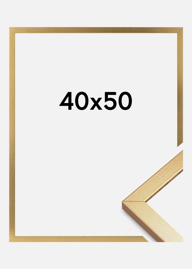 Rėmas Minerva Akrilo stiklas Auksas 40x50 cm