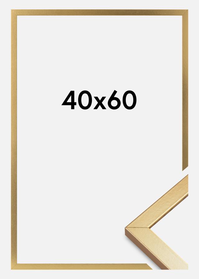 Rėmas Minerva Akrilo stiklas Auksas 40x60 cm