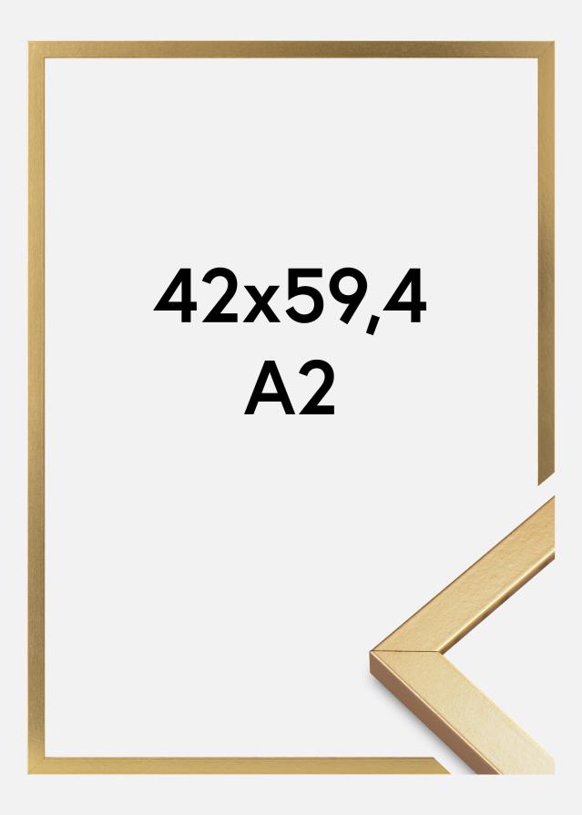 Rėmas Minerva Akrilo stiklas Auksas 42x59,4 cm (A2)