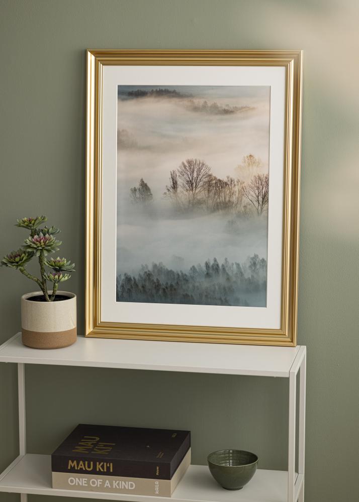 Rėmas Charleston Auksas 50x50 cm