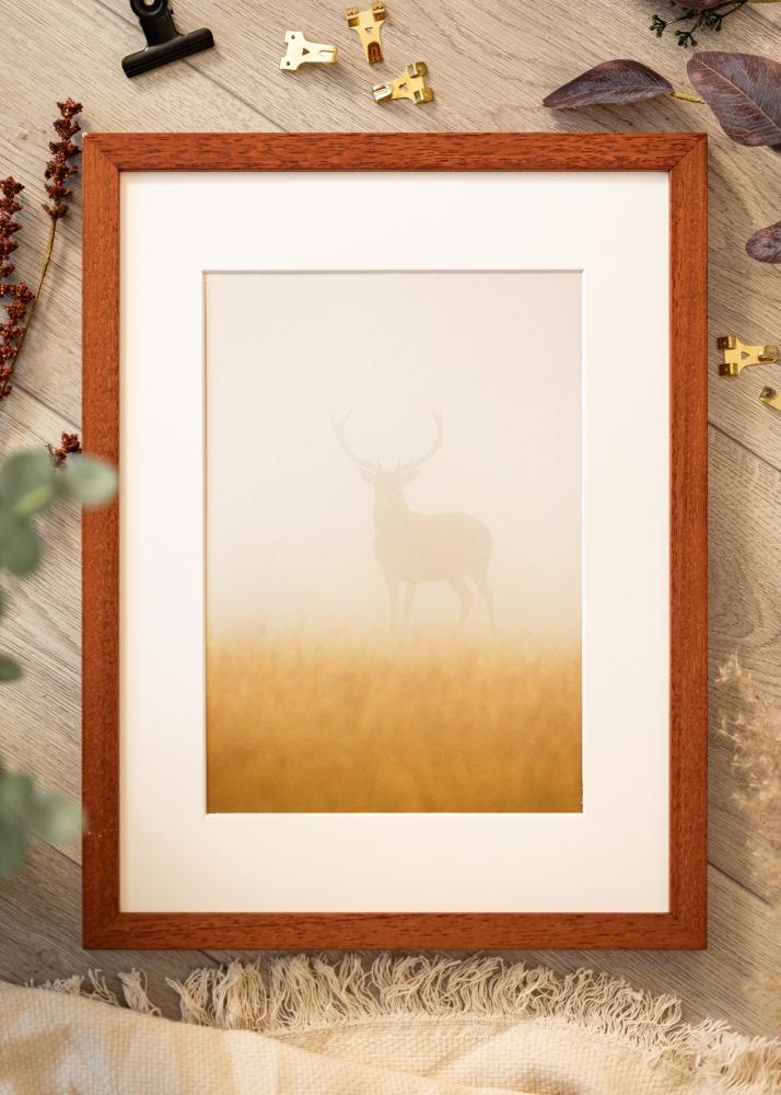 Rėmas Hermes Akrilo stiklas Vyšnia 50x60 cm