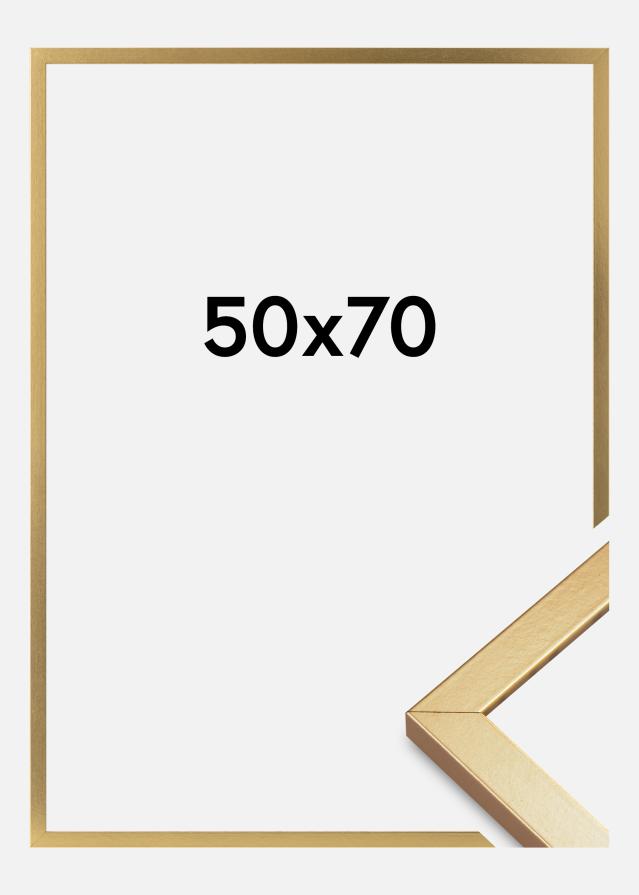 Rėmas Minerva Akrilo stiklas Auksas 50x70 cm