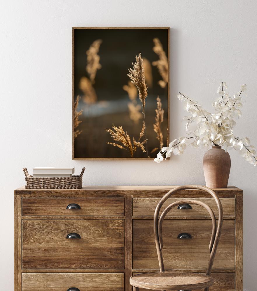 Sunshine On The Fields Įrašai