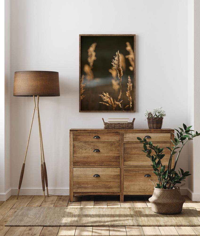 Sunshine On The Fields Įrašai