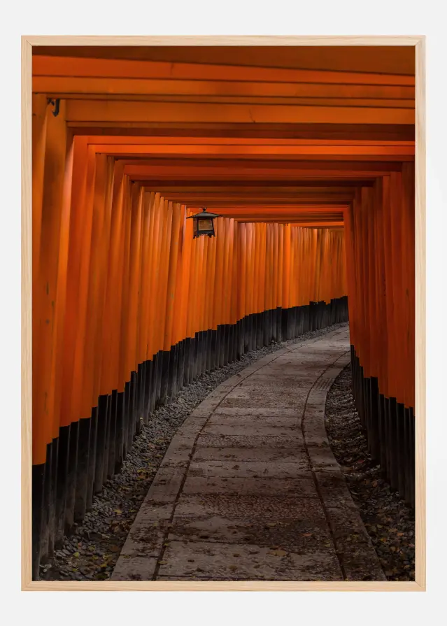 Orange tunnel Įrašai