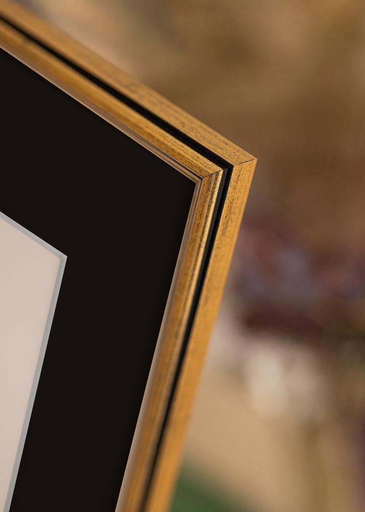 Rėmas Horndal Auksas 18x24 cm - Paspartu Juodas 13x18 cm