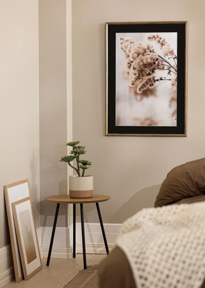 Rėmas Horndal Auksas 18x24 cm - Paspartu Juodas 13x18 cm