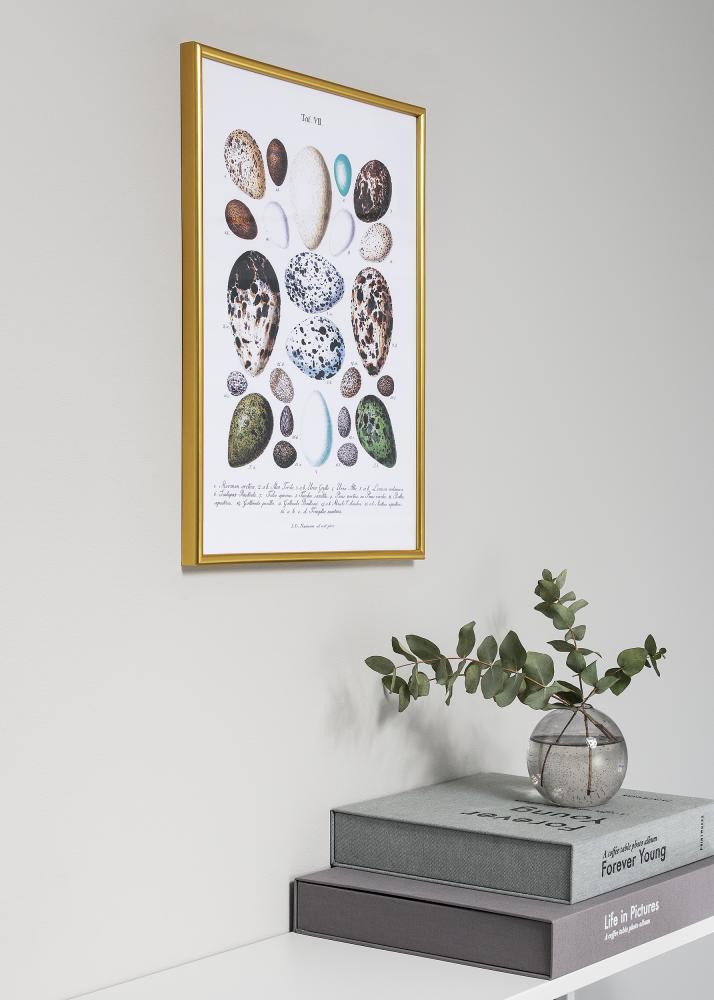 Rėmas Decoline Auksas 40x50 cm