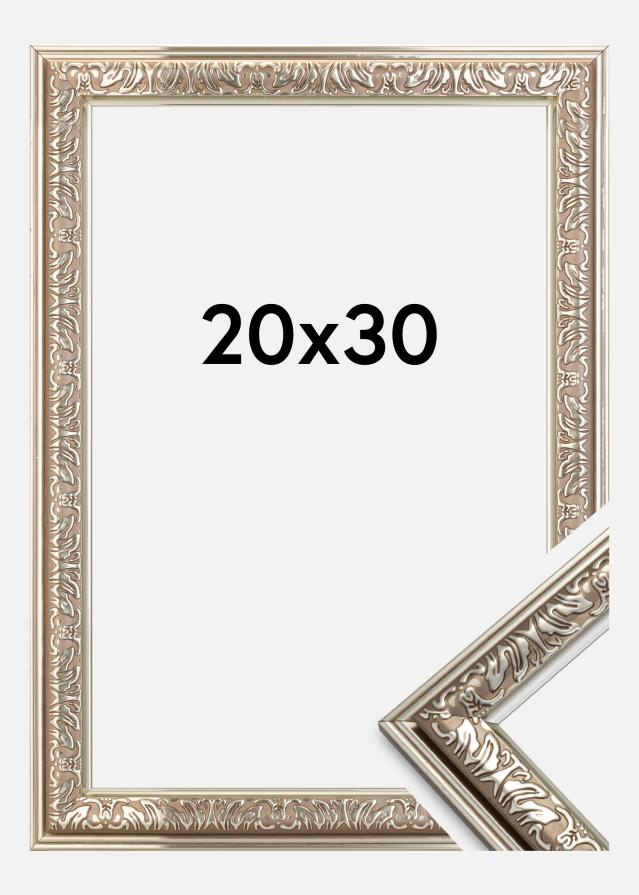 Rėmas Nostalgia Sidabras 20x30 cm