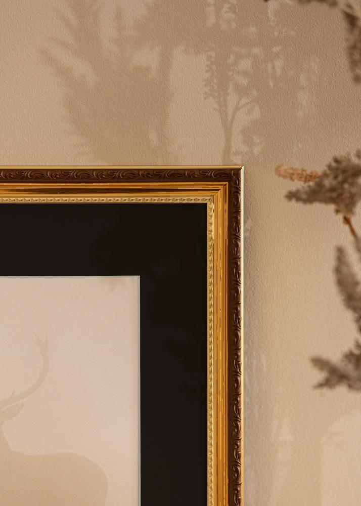 Rėmas Abisko Auksas 40x50 cm - Paspartu Juodas 27x35 cm