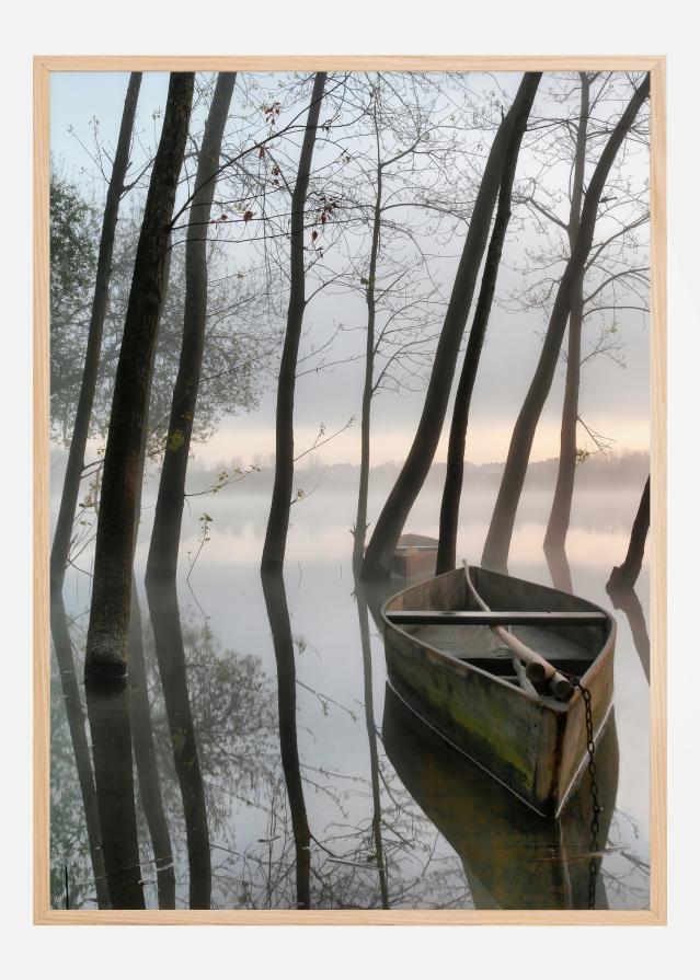 Serene Dawn Įrašai