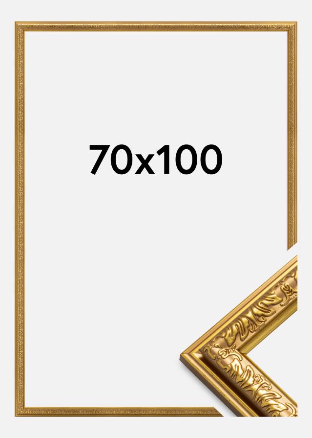 Rėmas Nostalgia Auksas 70x100 cm