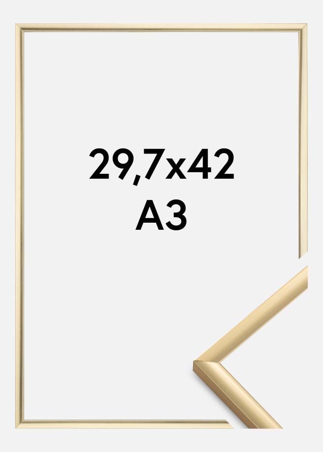 Rėmas New Lifestyle Auksas 29,7x42 cm (A3)