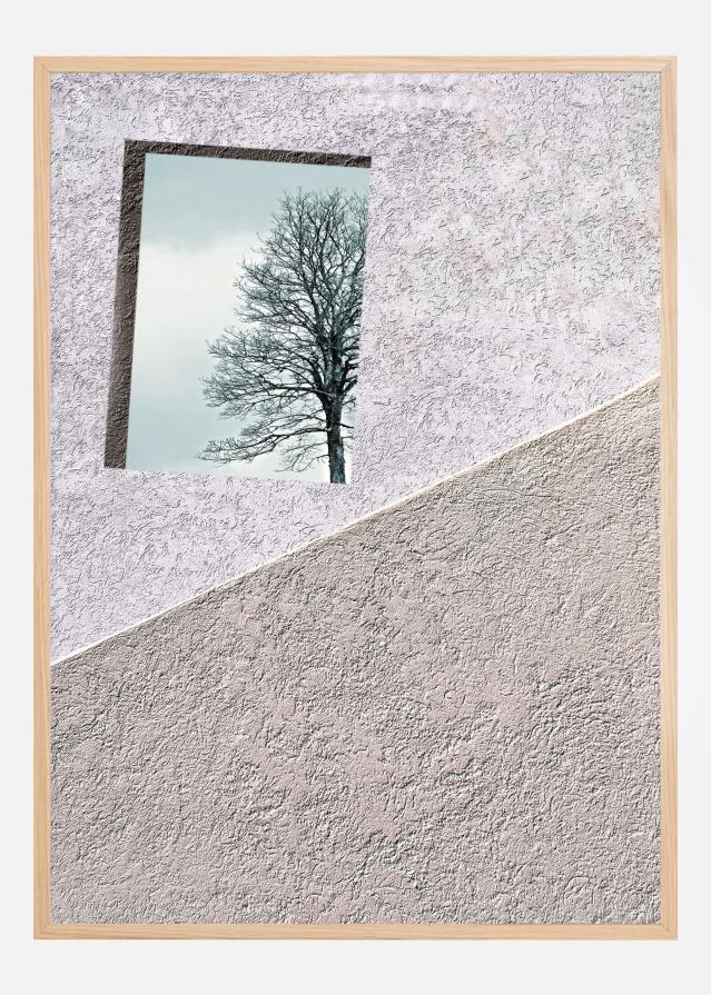 Oblique Visions Įrašai