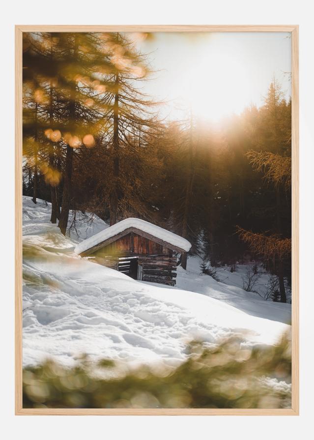 Winter Cabbin Įrašai