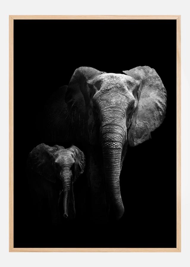 Mother and Child Įrašai