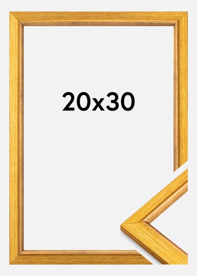 Rėmas Marisa Akrilo stiklas Auksinė 20x30 cm