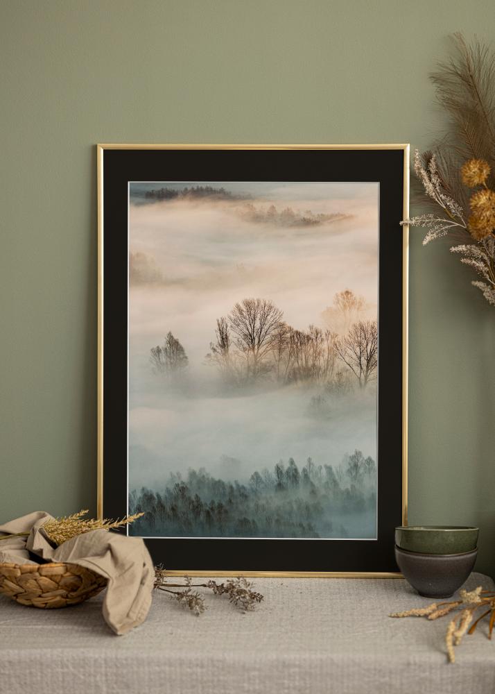 Rėmas New Lifestyle Auksas 70x100 cm - Paspartu Juodas 24x36 inches