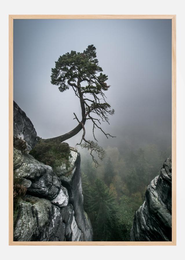 Against The Odds Įrašai