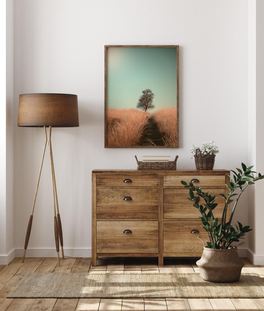 Grass And Path Įrašai