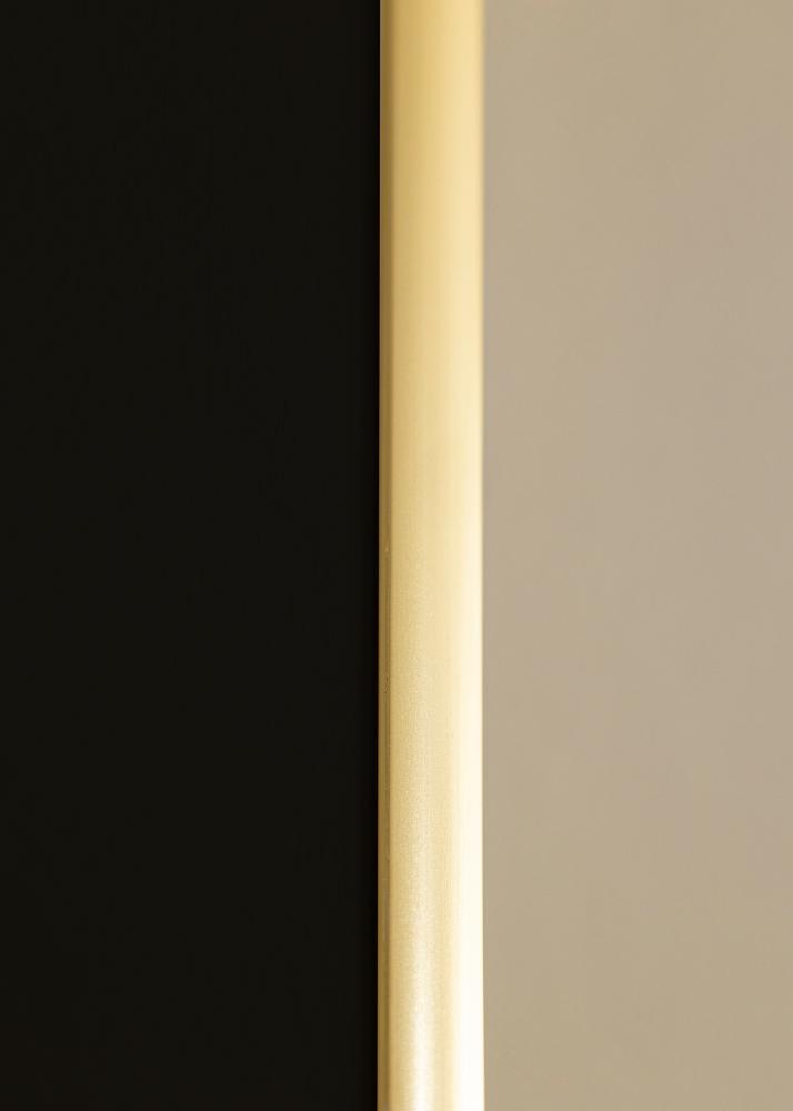 Rėmas New Lifestyle Auksas 70x100 cm - Paspartu Juodas 24x36 inches