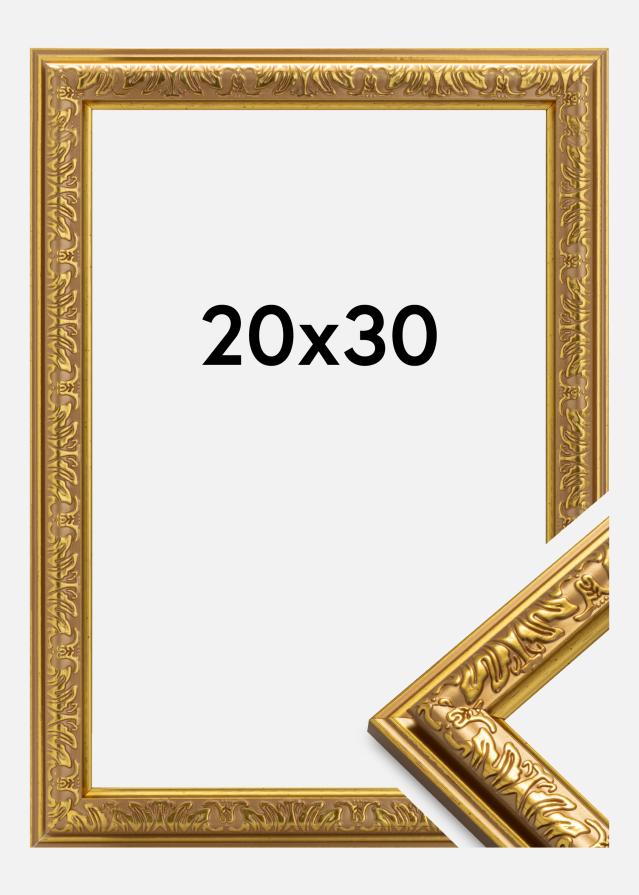 Rėmas Nostalgia Auksas 20x30 cm