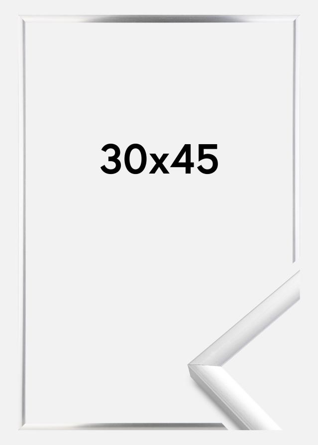 Rėmas New Lifestyle Sidabras 30x45 cm