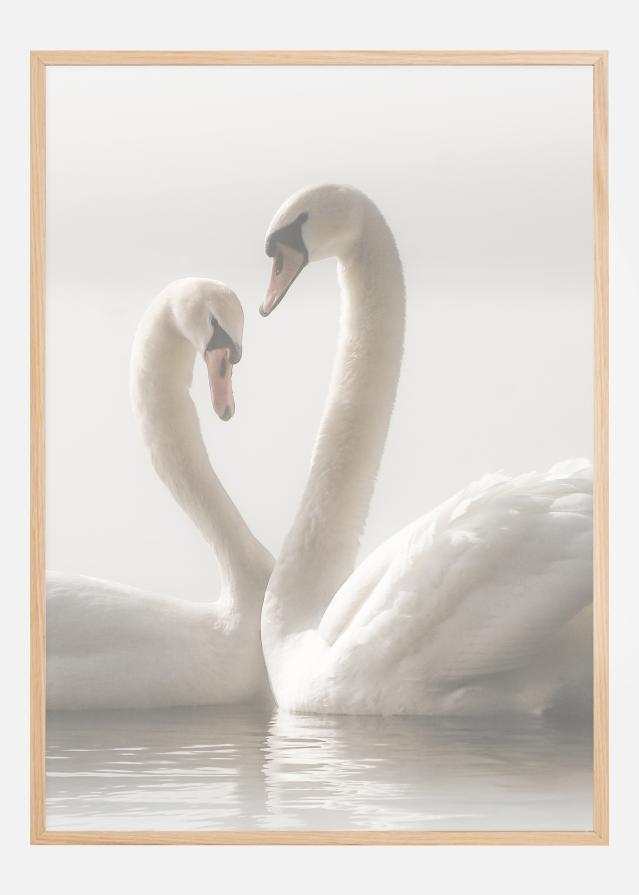 Swan Forever Įrašai