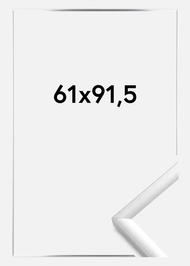 Rėmas New Lifestyle Sidabras 61x91,5 cm