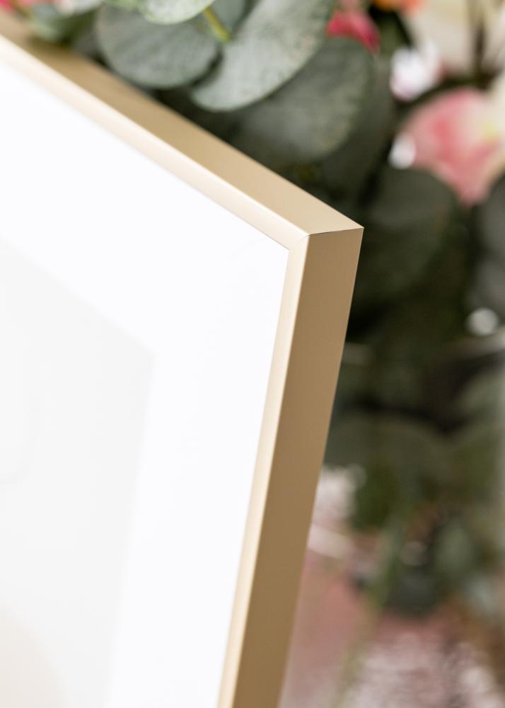 Aliuminio rėmelis Akrilo stiklas Žalvaris 50x70 cm