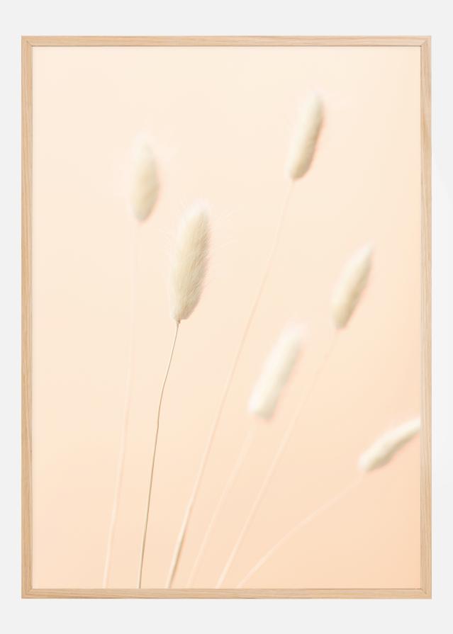 Bunny Grass II Įrašai