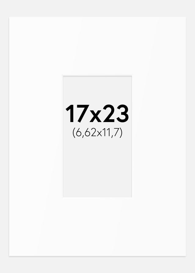 Paspartu Baltas Standartas (Balta Šerdis) 17x23 cm (6,62x11,7)