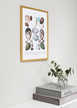 Gražūs auksiniai rėmeliai