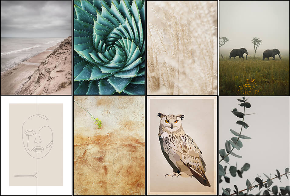 Plakatai natūraliose spalvose - natūralus interjeras