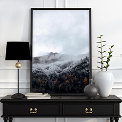 Sieninė kompozicija